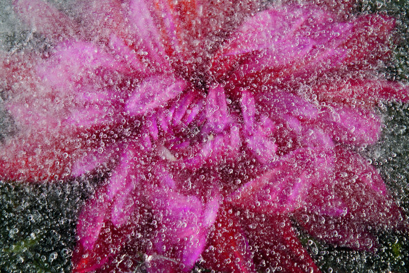 Illustration for article titled Shooting Gallery Challenge: Ice II